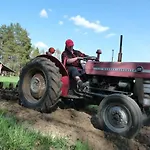 Olo Tila Kurikka