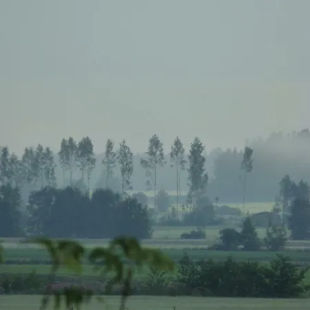 Olo Tila