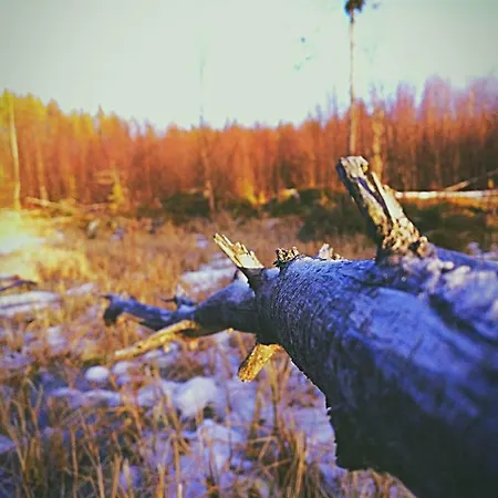 Olo Tila Vendégház Kurikka