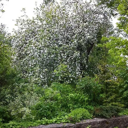 Olo Tila Gasthof Kurikka