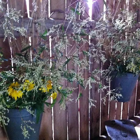 Pensjonat Olo Tila *