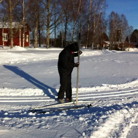 Olo Tila Kurikka