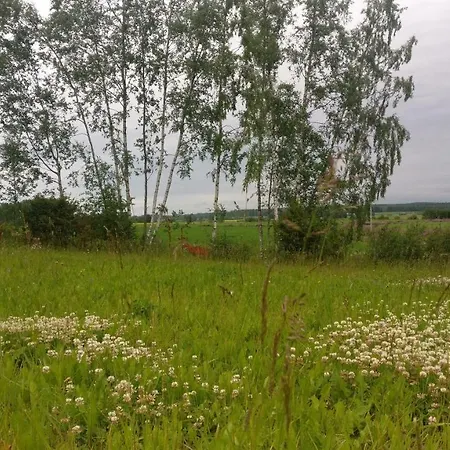Olo Tila Guest house Kurikka