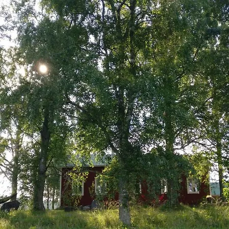 Olo Tila Kurikka