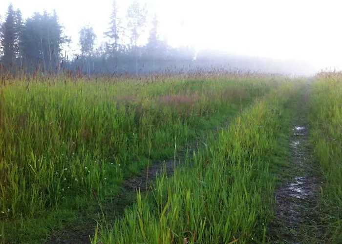 Olo Tila בית הארחה